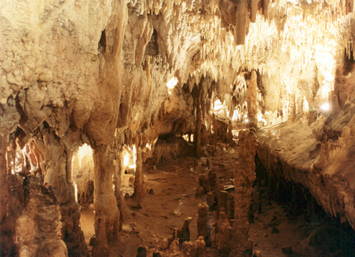 Cuevas Ortigosa