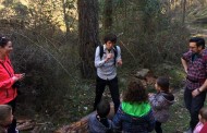 Excursión con niños a Sierra Cebollera: El bosque mágico que cuenta historias