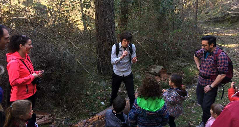 Excursión con niños a Sierra Cebollera: El bosque mágico que cuenta historias