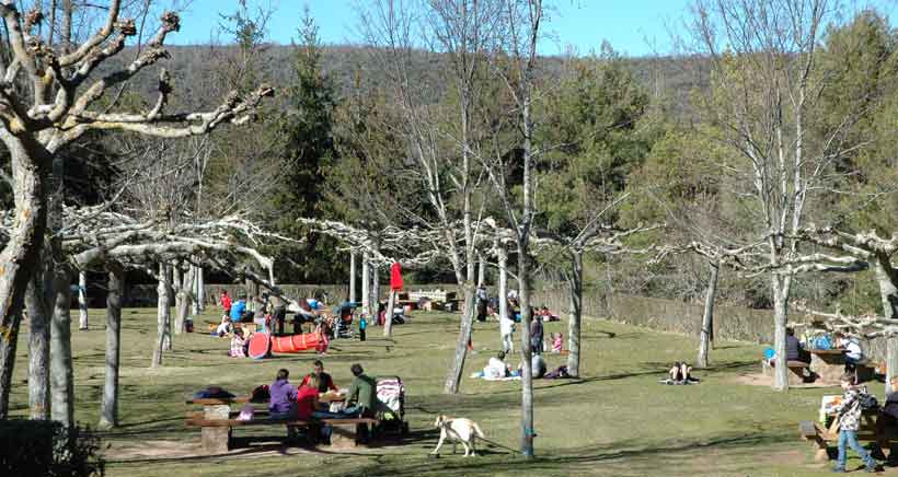 Espacios para ir de pícnic: Ribavellosa