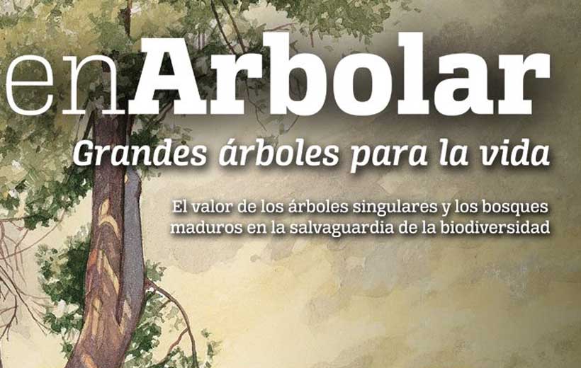 Un viaje virtual por los bosques de La Rioja