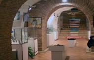 Museo de Ciencias Naturales de Arnedo