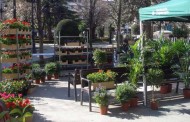Exhibición y venta de plantas ‘Made in La Rioja’, en El Espolón