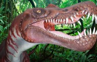 Conoce el yacimiento de huellas de dinosaurio más importante de Europa