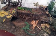 Réplicas exactas de anfibios y reptiles, en la Casa de las Ciencias