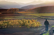 112 opciones para disfrutar a tope de La Rioja en otoño