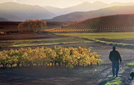 112 opciones para disfrutar a tope de La Rioja en otoño