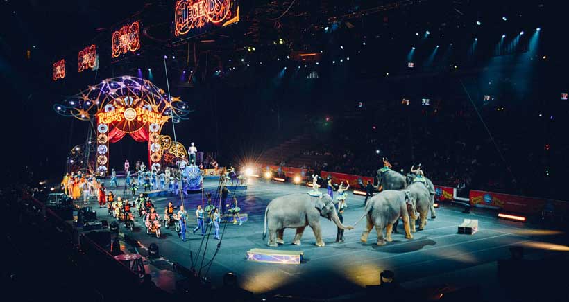 Logroño será una ‘Ciudad libre de circo con animales’