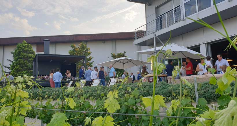 En vendimia, “terraceo” con vistas al viñedo en Bodegas Valdemar