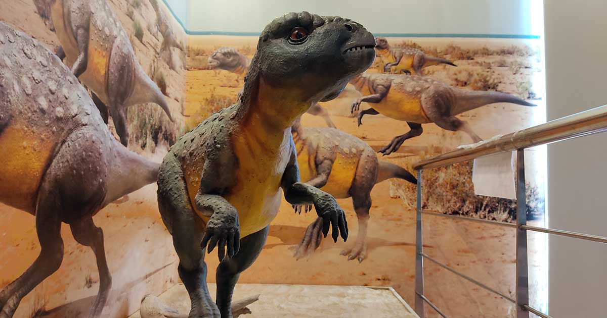 centro-de-interpretacion-paleontologica-igea