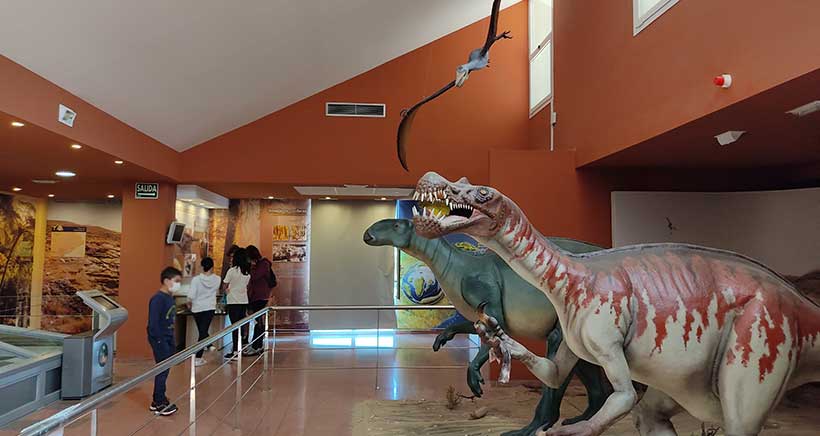 centro-paleontologico-igea