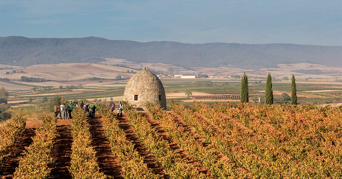 Enoturismo en La Rioja, mejor en familia