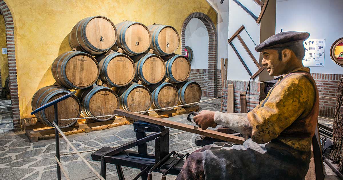 Museo-Vino-Villa-Lucia-Laguardia