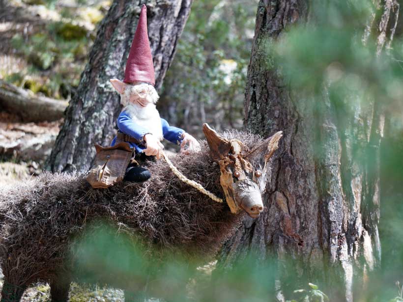 BosquemagicoSanLeonardodeYague El Balcón de Mateo