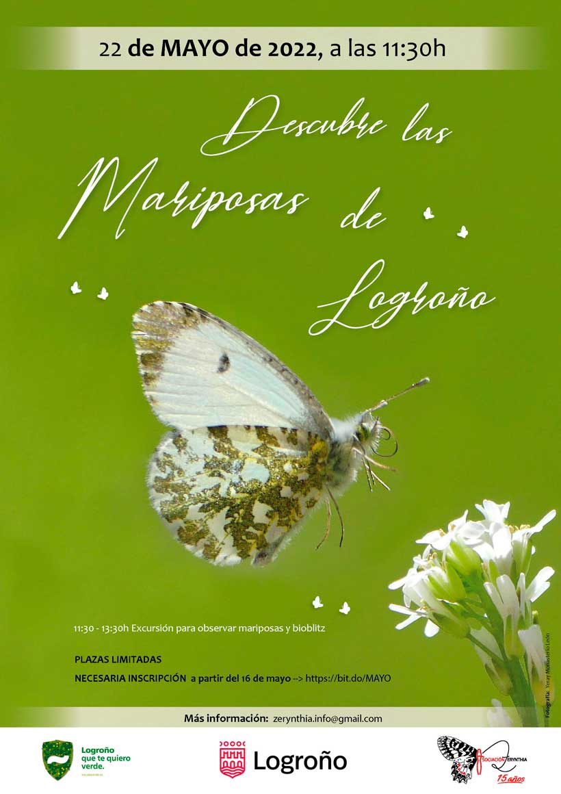 conoce-mariposas-logrono-zerynthia
