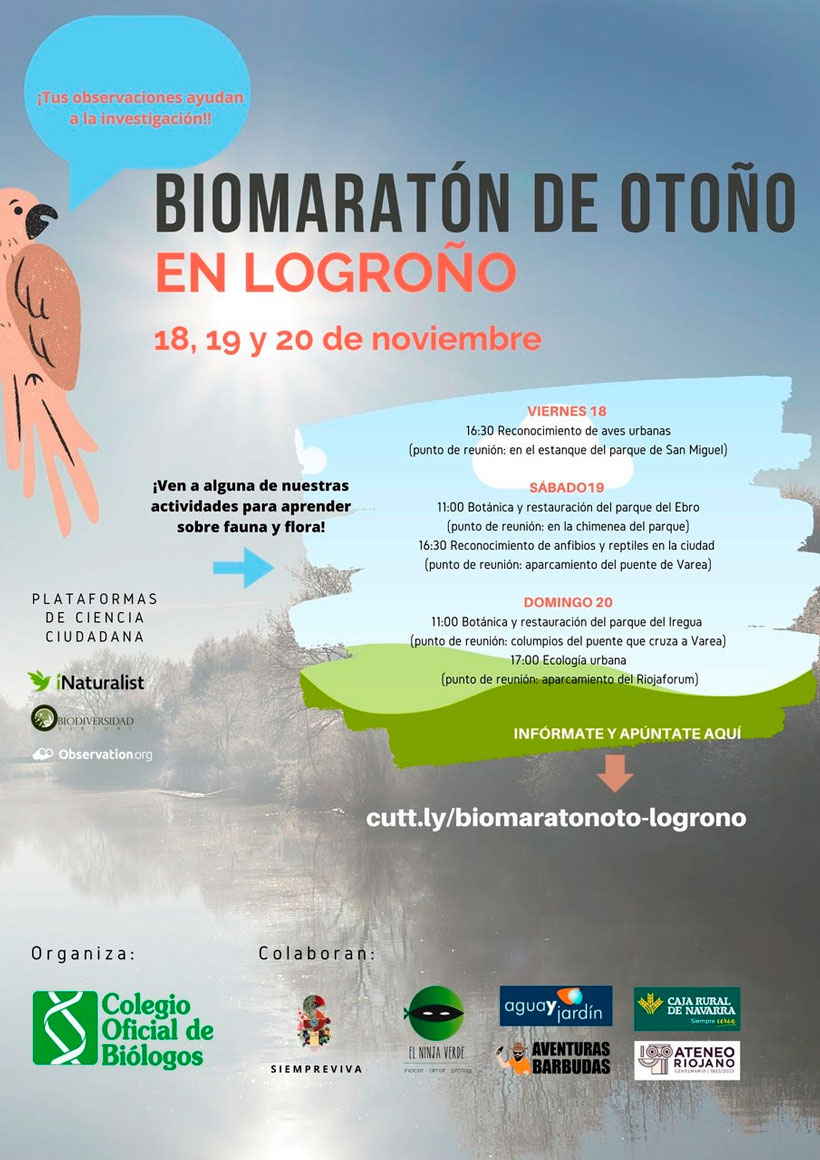 biomaraton-de-otono-en-logrono