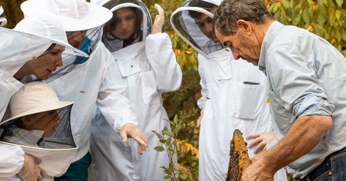 visitas-colmenas-abejas-mieleria