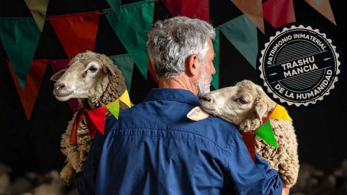 fiesta trashumancia venta piqueras 2025