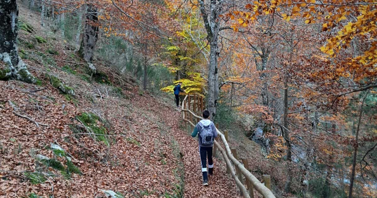 pasea-la-rioja-en-SIERRA-CEBOLLERA