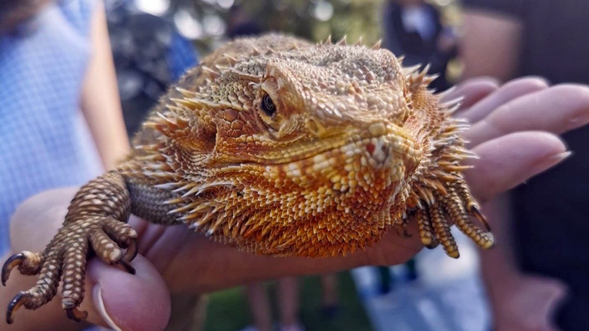 jardin botanico rioja