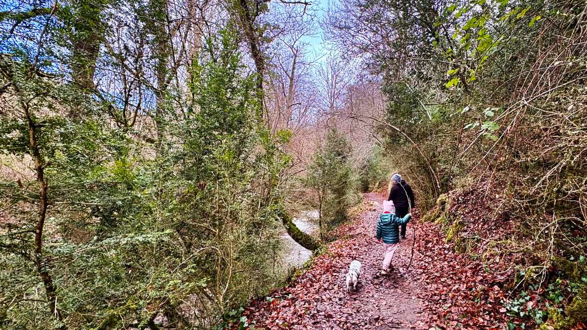ruta del agua berganzo