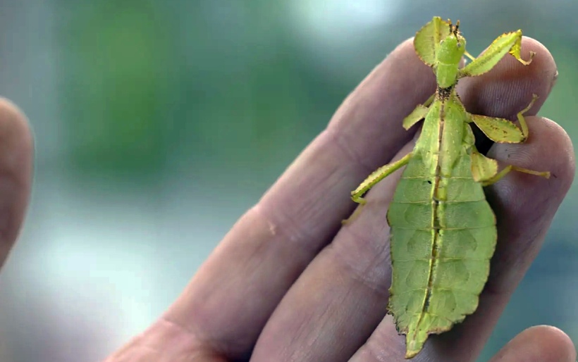 aula naturaleza jardin botanico rioja