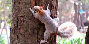 talleres infantiles la grajera