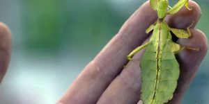 aula naturaleza jardin botanico rioja