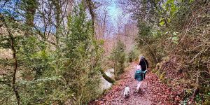 ruta del agua berganzo