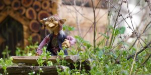 Bosque-Magico-San-Leonardo-de-Yague-Soria